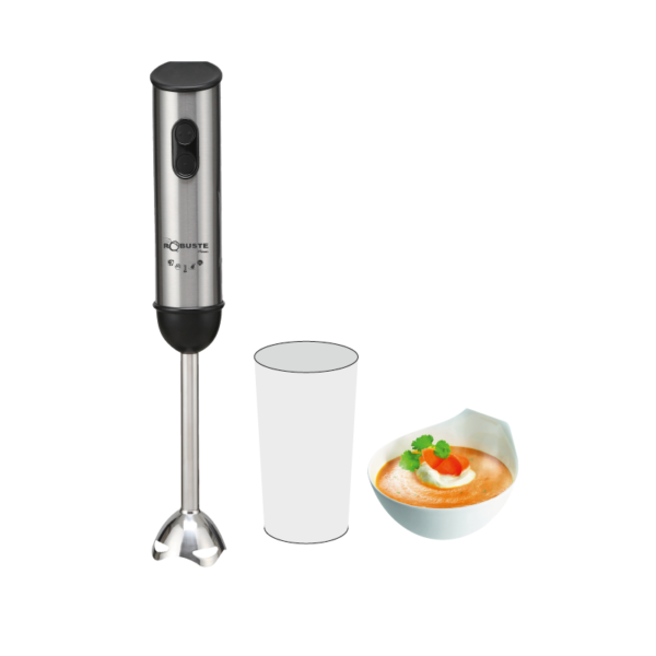 Robuste Mixeur BMI600