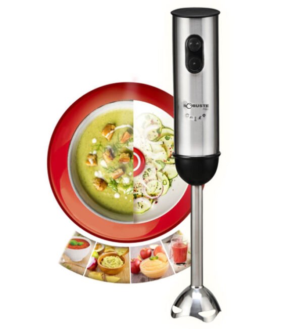 Robuste Mixeur BMI600